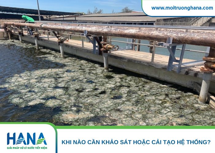 Bể lắng thường xuyên kéo bùn