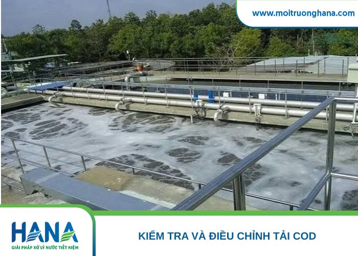 Kiểm tra và điều chỉnh tải COD