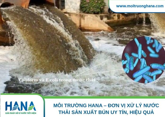 Coliform có trong nước thải