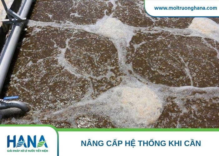 Giá thể di động MBBR