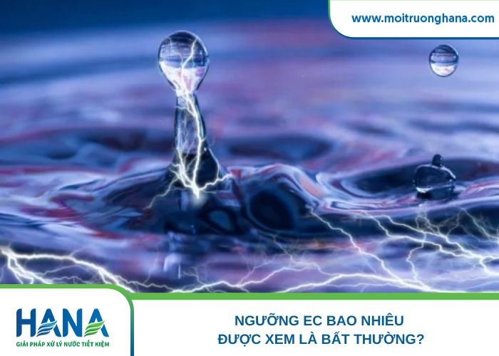 Ngưỡng EC bao nhiêu được xem là bất thường