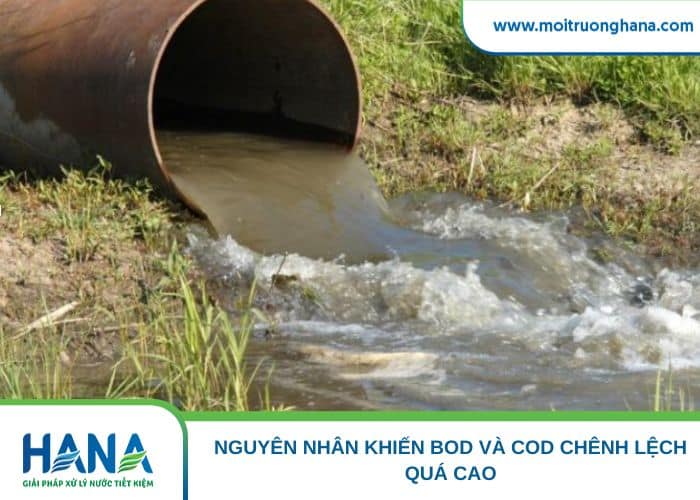 Nước thải chứa nhiều chất hữu cơ khó phân hủy