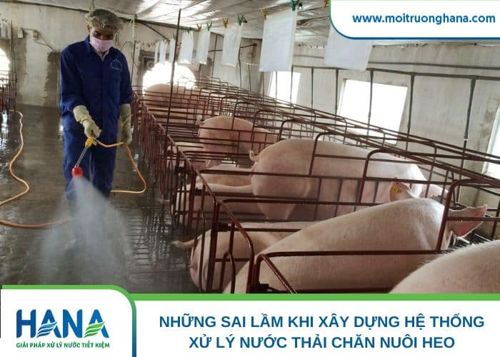 Những sai lầm khi xây dựng hệ thống xử lý nước thải chăn nuôi heo