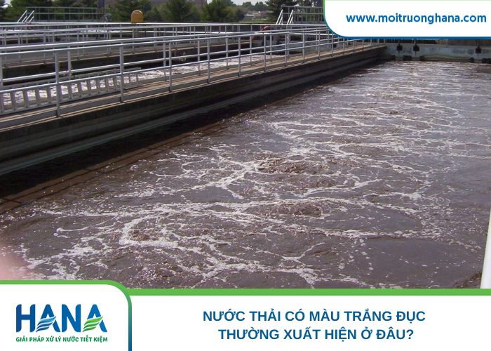 Nước thải có màu trắng đục thường xuất hiện ở đâu