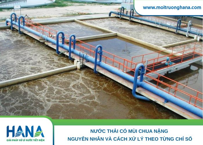 Nước thải có mùi chua