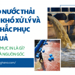 Tại Sao Nước Thải Mực In Khó Xử Lý Và Cách Khắc Phục Hiệu Quả xử lý nước thải mực in
