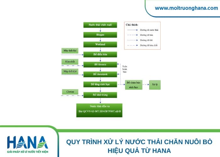 quy trình xử lý nước thải chăn nuôi bò