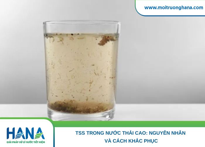 TSS Trong Nước Thải Cao_ Nguyên Nhân Và Cách Khắc Phục