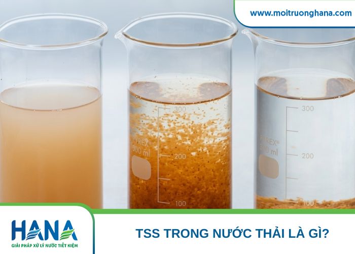 TSS là tổng lượng chất rắn lơ lửng trong nước