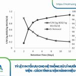 Tỷ lệ F/M tối ưu cho hệ thống xử lý nước thải bệnh viện – Cách tính & vận hành hiệu quả Tỷ lệ F/M tối ưu cho hệ thống xử lý nước thải bệnh viện