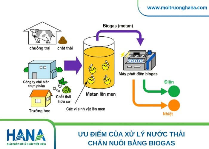 Tạo ra năng lượng để chạy máy phát điện, sinh nhiệt 