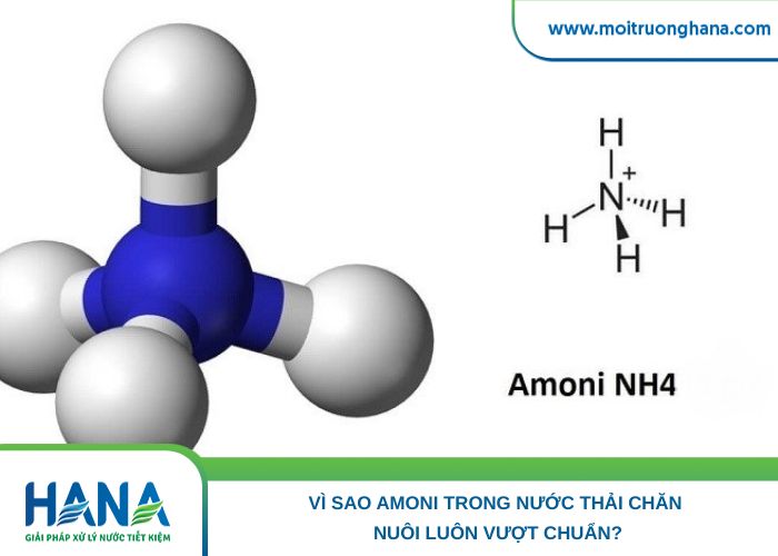 Vì Sao Amoni Trong Nước Thải Chăn Nuôi Luôn Vượt Chuẩn