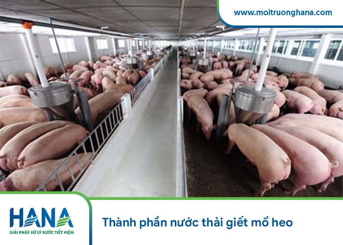 Thành phần nước thải giết mổ heo