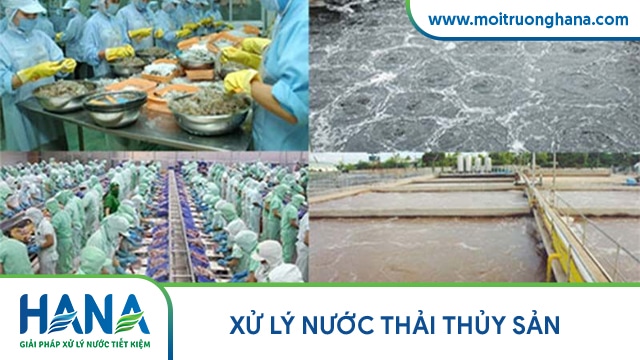 hệ thống xử lý nước thải thủy sản