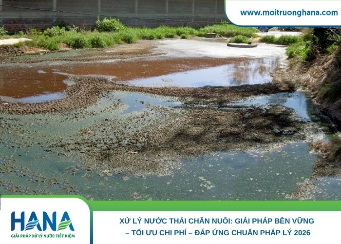 xử lý nước thải chăn nuôi