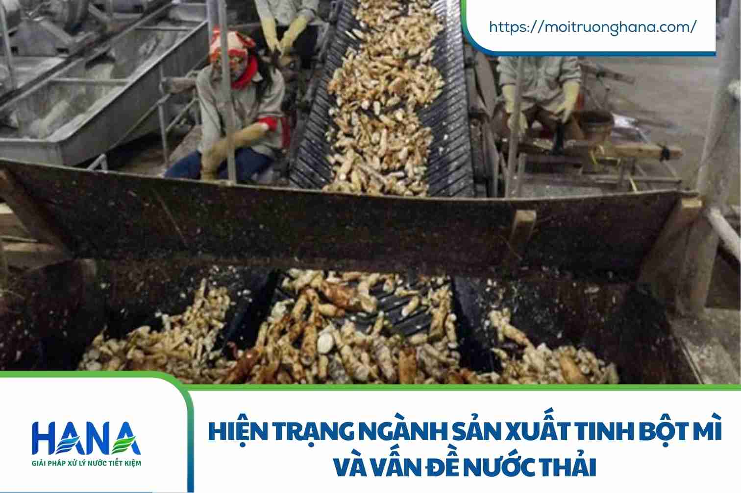 Quy trình xử lý nước thải tinh bột mì khép kín và bền vững cho nhà máy 1 Hiện trạng ngành sản xuất tinh bột mì và vấn đề nước thải