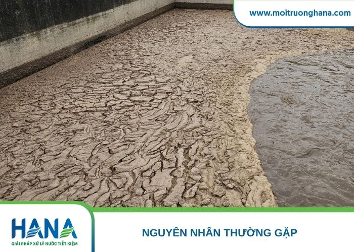 Ba dạng dầu mỡ trong nước thải giết mổ: tự do, phân tán nhũ hóa và bám trên chất rắn