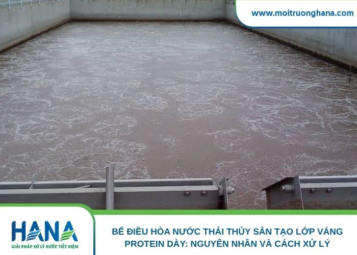 Bể điều hòa nước thải thủy sản tạo lớp váng protein dày