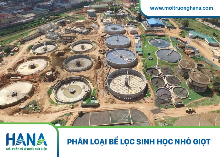 bể lọc sinh học nhỏ giọt