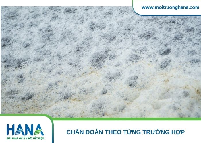 Bốn nguyên nhân khiến nước thải chăn nuôi nổi bọt sau mưa: nước mưa cuốn chất bẩn, quá tải thủy lực, sốc tải hữu cơ và xáo trộn hầm Biogas