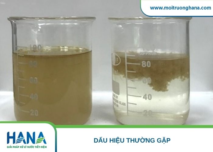 Bùn nổi thành mảng kèm bọt khí nhỏ trên mặt bể lắng nước thải