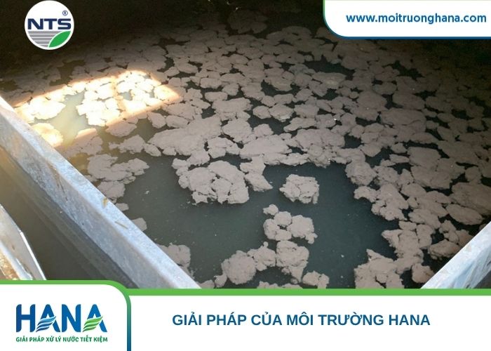 Bùn tràn qua máng thu nước tại bể lắng cần dừng hoặc hạn chế vận hành