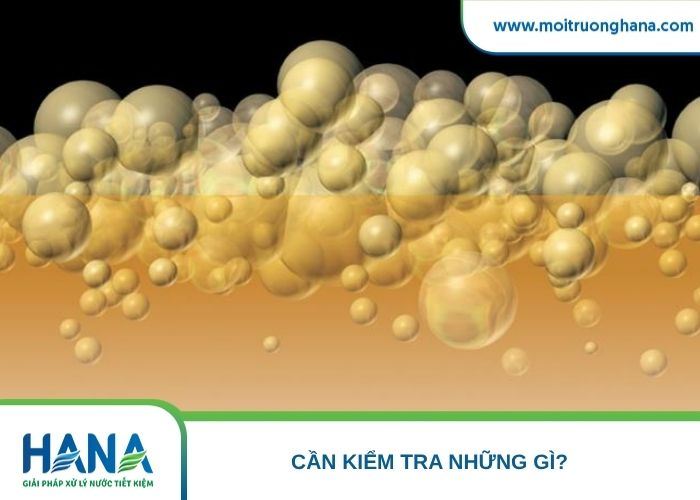 Cán bộ vận hành lấy mẫu dầu mỡ trước và sau bể tách để tính hiệu suất tách mỡ