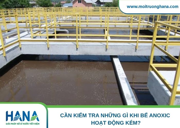 Cần kiểm tra những gì khi bể Anoxic hoạt động kém?