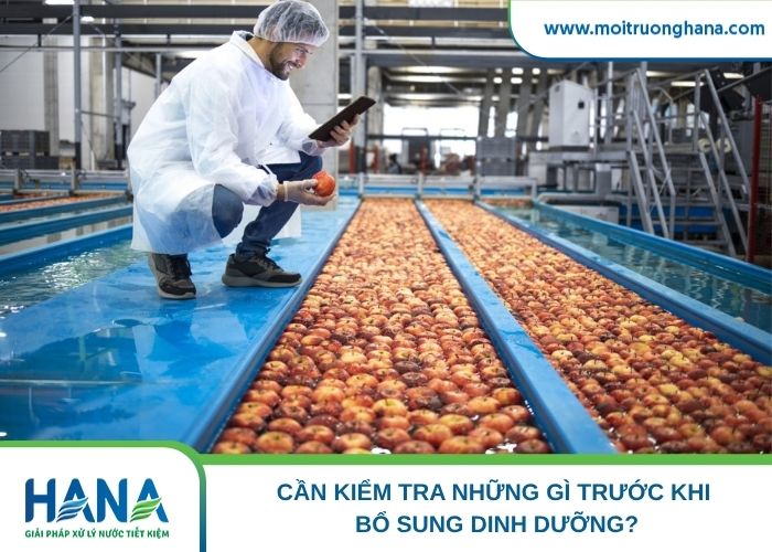 Cần kiểm tra những gì trước khi bổ sung dinh dưỡng?