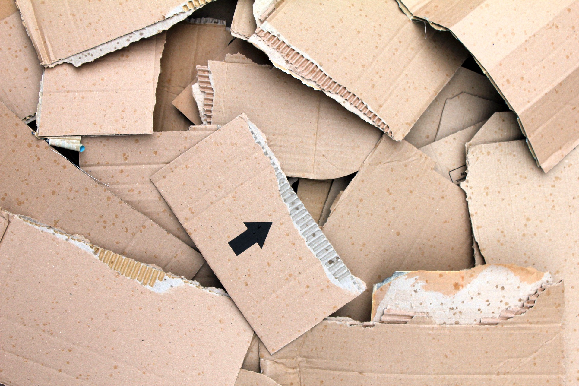 đánh giá tác động môi trường cho cơ sở sản xuất giấy từ phế liệu