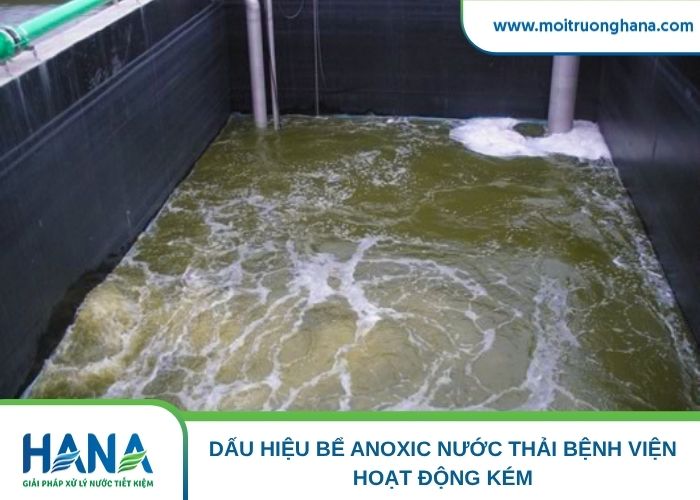 Dấu hiệu bể Anoxic nước thải bệnh viện hoạt động kém