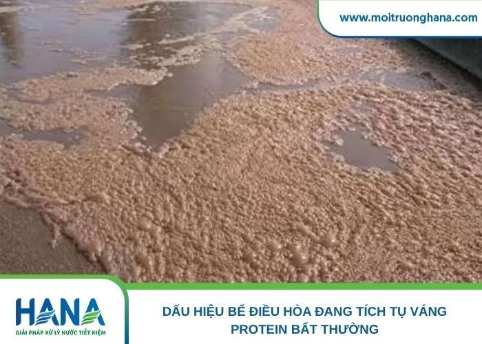 Dấu hiệu bể điều hòa đang tích tụ váng protein bất thường