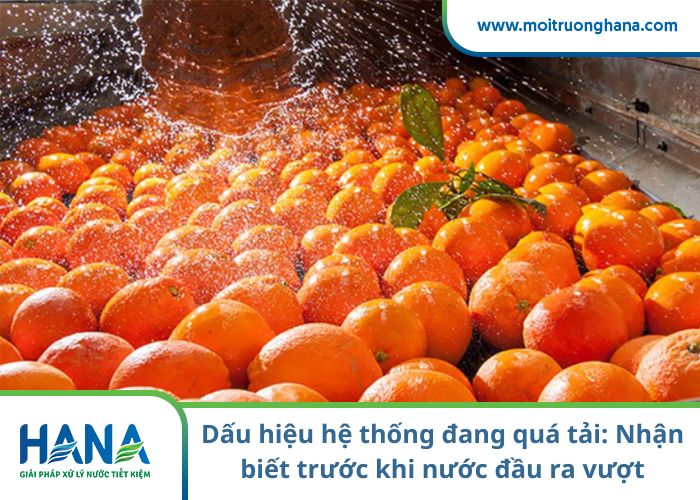 Dấu hiệu hệ thống đang quá tải: Nhận biết trước khi nước đầu ra vượt