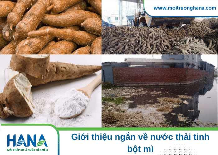 Vì sao xử lý nước thải tinh bột mì lại khó khăn hơn? 2 xử lý nước thải tinh bột mì