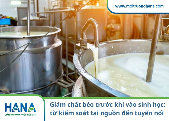 Giảm chất béo trước khi vào sinh học: từ kiểm soát tại nguồn đến tuyển nổi DAF