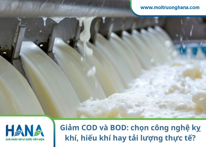 Giảm COD và BOD: chọn công nghệ kỵ khí, hiếu khí hay kết hợp theo tải lượng thực tế?