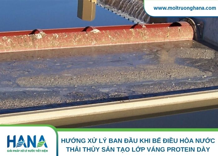 Hướng xử lý ban đầu khi bể điều hòa nước thải thủy sản tạo lớp váng protein dày