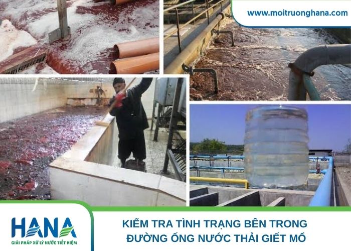 Kiểm tra tình trạng bên trong đường ống nước thải giết mổ