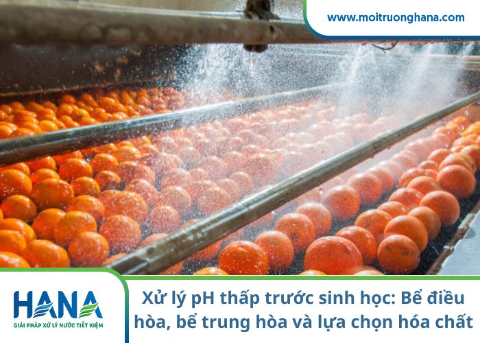 Làm sao biết pH thấp đến từ đầu vào hay từ chính hệ thống xử lý?