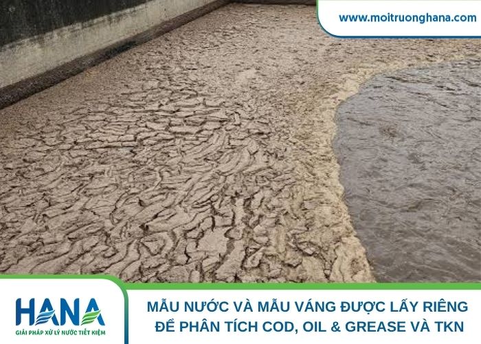 Mẫu nước và mẫu váng được lấy riêng để phân tích COD, Oil & Grease và TKN