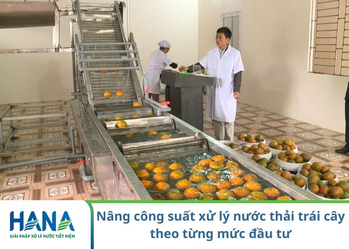 Nâng công suất xử lý nước thải trái cây theo từng mức đầu tư