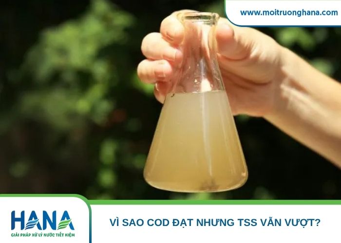 Nước đầu ra bể lắng nhìn trong nhưng vẫn chứa cặn lơ lửng mịn làm TSS vượt chuẩn dù COD đạt