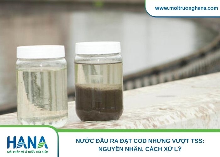 Nước đầu ra đạt COD nhưng vẫn vượt TSS