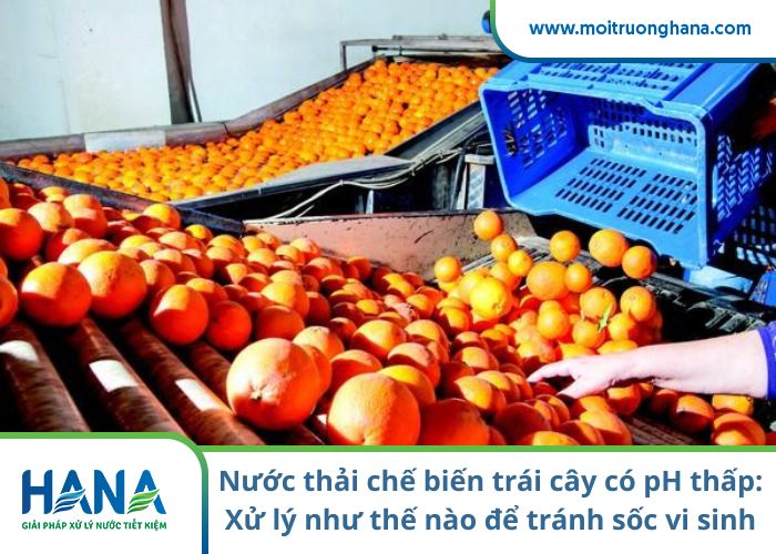 Nước thải chế biến trái cây có pH thấp