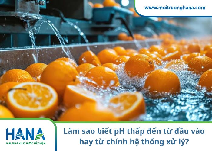 pH thấp ảnh hưởng thế nào đến vi sinh và thiết bị xử lý nước thải?
