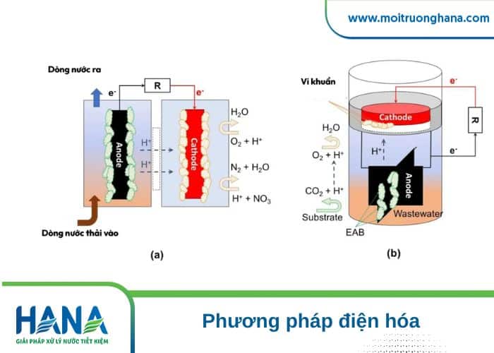 Loại bỏ kim loại nặng trong nước thải