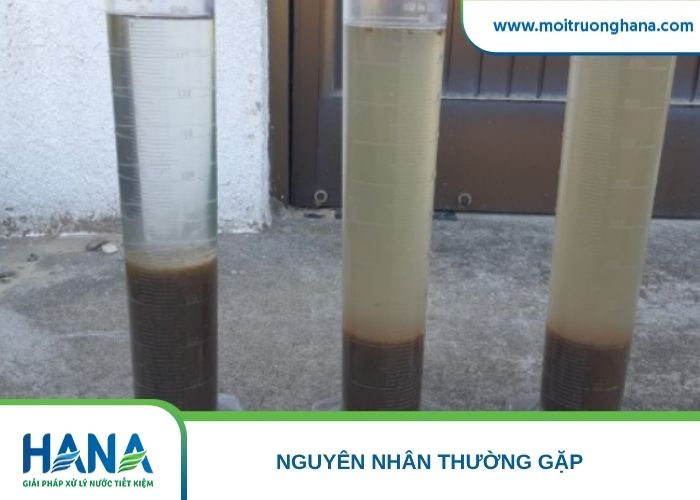 So sánh bông bùn phân tán, bùn nổi do khử Nitrat và bùn tích tụ do quá tải bể lắng