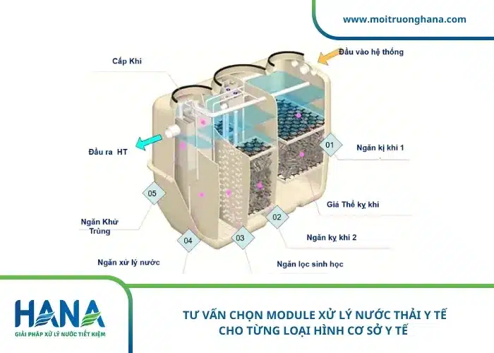 Cách chọn module xử lý nước thải y tế phù hợp cho từng loại hình cơ sở y tế 