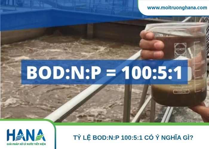 Tỷ lệ BOD:N:P 100:5:1 có ý nghĩa gì?