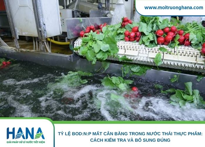 Tỷ lệ BOD:N:P mất cân bằng trong nước thải thực phẩm